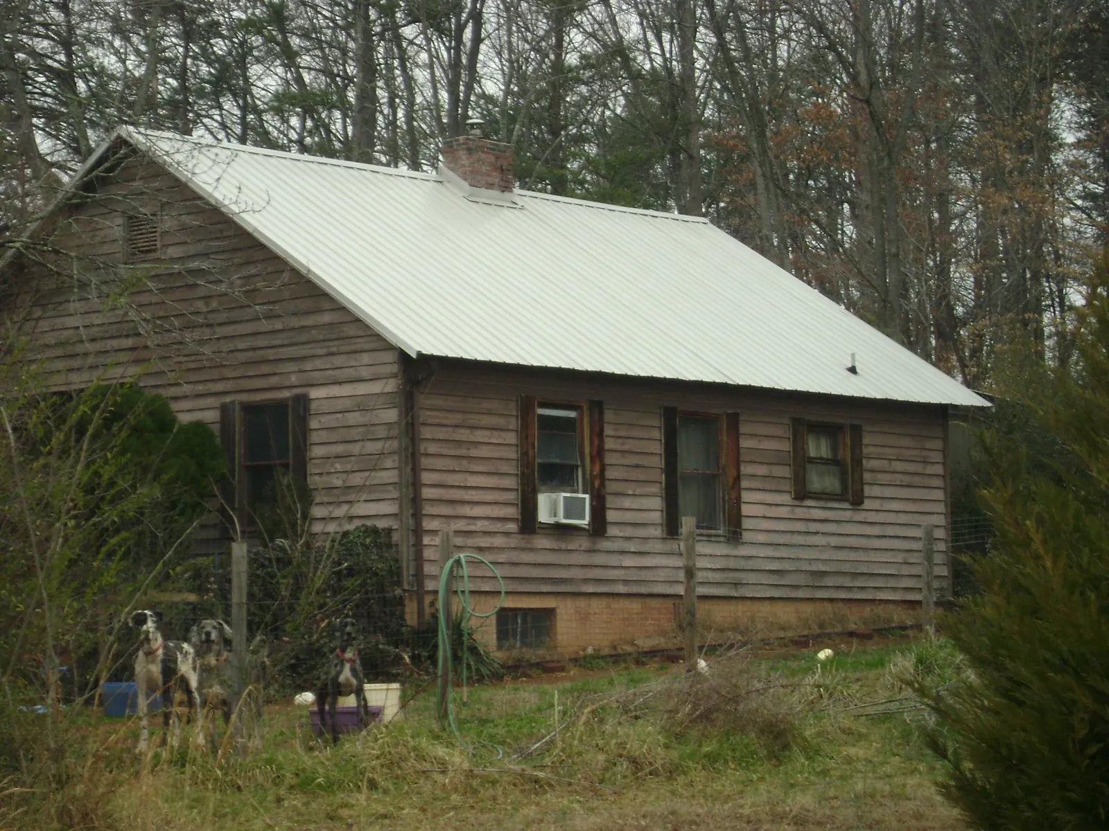 White metal roof on an old wood sided farmhouse, from a Asphalt Shingle Roof Repair job in West Elkton